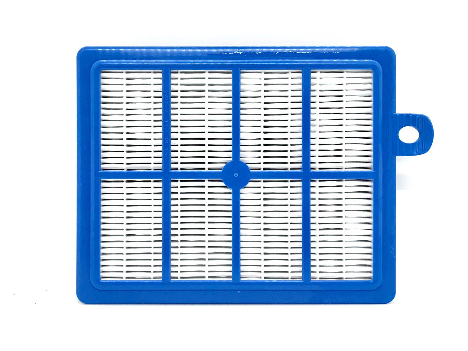 Hepa Filter and Cleaner Head Electrolux ESP7GREEN