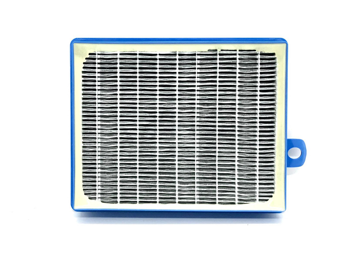 Hepa Filter and Cleaner Head Electrolux ESP7GREEN